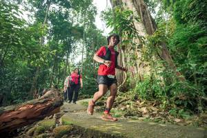 BIB: 
                            <button type="button" onclick="openModal(24809907)" class="btn btn-primary btn-sm float-right btn-popup" data-toggle="modal" data-target=".modal-high-quality">
                        <i class="fas fa-shopping-cart"></i> Add to Cart
                    </button>
                                            <button type="button" onclick="isThisMe(24809907, true)" class="btn btn-success btn-sm float-right btn-popup btn-isme hidden" data-toggle="tooltip" data-placement="bottom" title="นี่คือรูปของคุณใช่ไหม คลิกที่นี่เพื่อเอาเข้าอัลบั้ม">
                        <i class="fas fa-plus"></i> Add to album
                    </button>
                    <button type="button" onclick="isThisMe(24809907, false)" class="btn btn-warning btn-sm float-right btn-popup btn-isnotme hidden">
                        <i class="fas fa-ban"></i> Remove from album
                    </button>